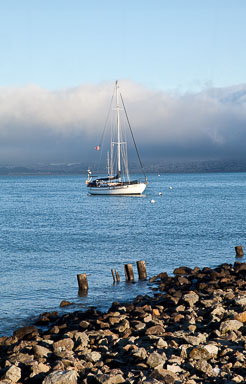 2010